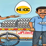 ఏపీలో మహిళలు ‘ఎగ్‌మార్ట్‌’లు ఏర్పాటుకు 50 వేలు చప్పున..