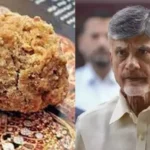 ప్రభుత్వ సహకారం లేకుండా ‘హెరిటేజ్’ నిలబడింది..సీఎం చంద్రబాబు