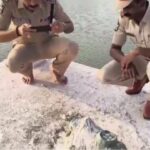 భీమవరం పంచారామంలో ‘నంది’ విగ్రహం ద్వంసం..