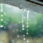 భీమవరంలో ఎర్రటి ఎండ.. పక్క జిల్లాలో వర్షాలు.. మరో 4 రోజులు ..