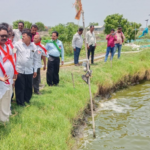 భీమవరంలో ఆక్వా రైతుల కష్టాలను పరిశీలించిన CPI రాష్ట్ర నేతలు