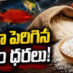 ఏపీలో ‘అదుపు’ లేకుండా సన్న బియ్యం ధరలు ఫై పైకి..
