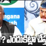 హనుమంతరావు’ వ్యాక్యలు బాధ పెట్టాయి.. చంద్రబాబు